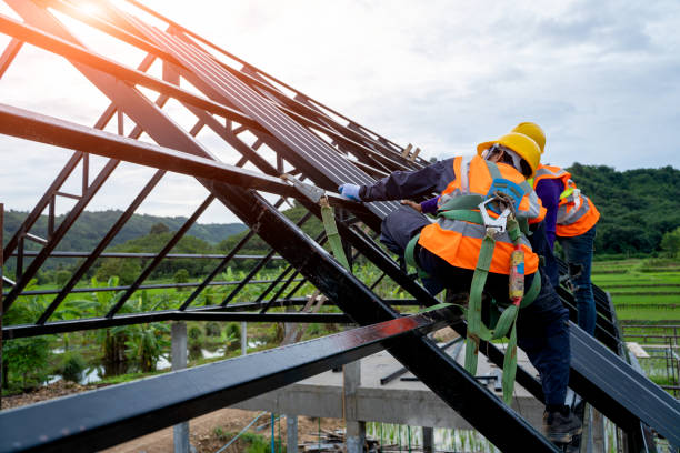 Best Local Roofing Companies  in Nneconne, WI