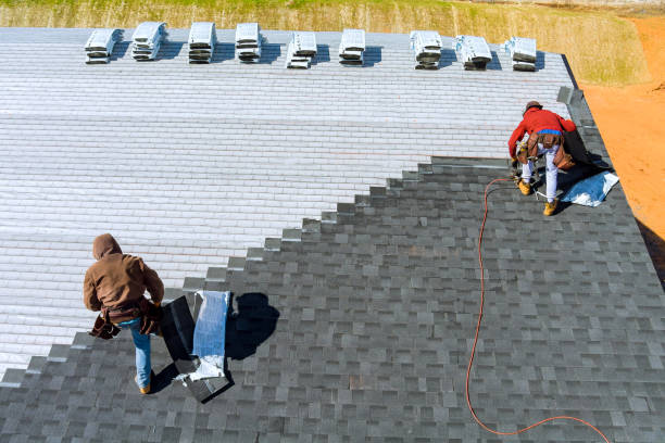 Best Roof Repair Services  in Nneconne, WI